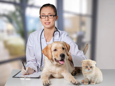 Cats & dogs vaccination