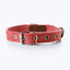 Dog collar