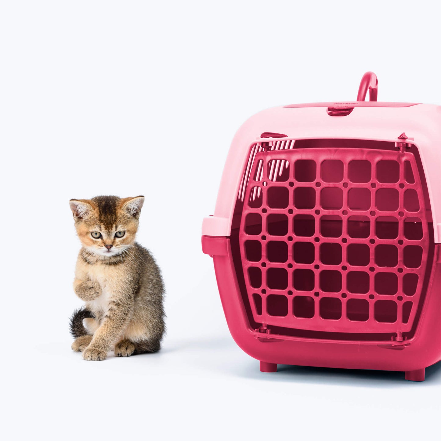 Large plastic carrier cage for cats and dogs