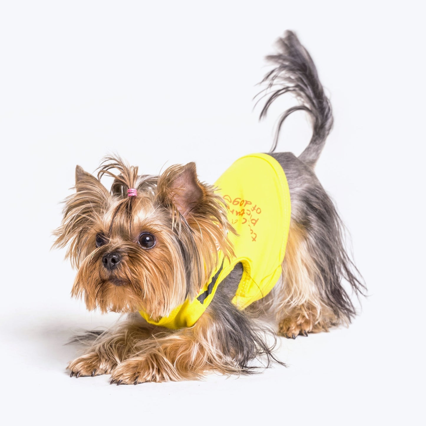 Waterproof yellow suit for small breeds of dogs