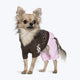 Dog suit