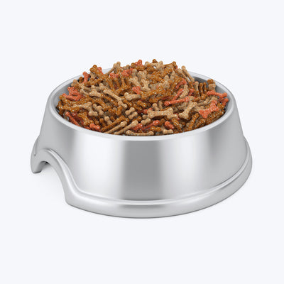 Metal stainless steel bowl for dog